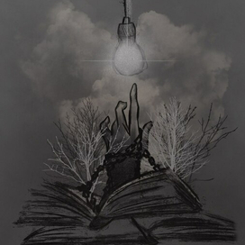 Свет реального мира