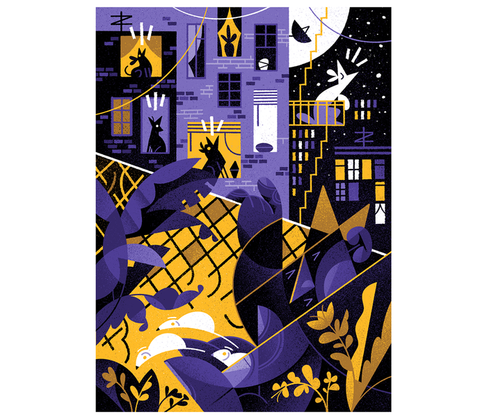 Иллюстрация для SNC