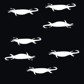 Авторская книга