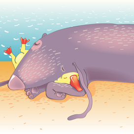 сон в летний день