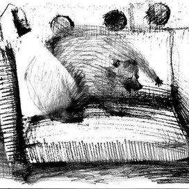 Сплю. Неслышно безголосый мишка...