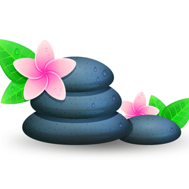 Камни и цветы 