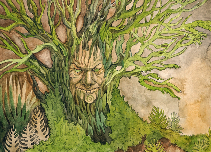 Старое дерево