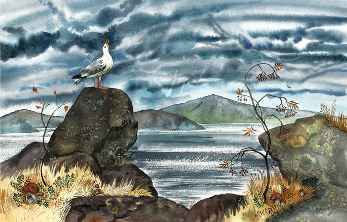 ЧАЙКА-НЕОБЫЧАЙКА