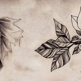 Leaves. Realistic and decorative