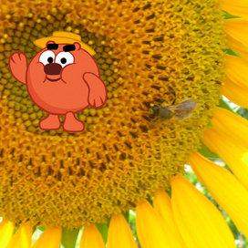 Пчелиный король Копатыч