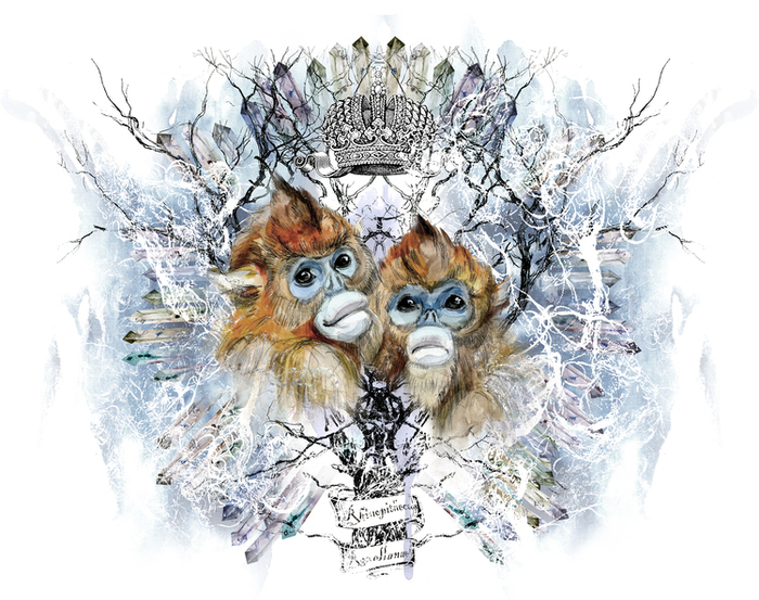 "Pygathrix roxellana"