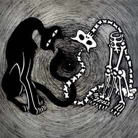 милые котики