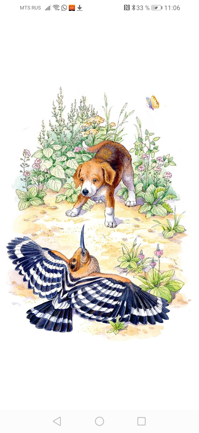 "Первая охота"