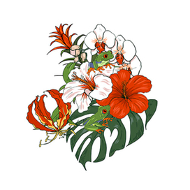 Тропические цветы и древесные лягушки