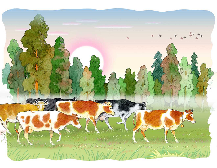 К новой книге