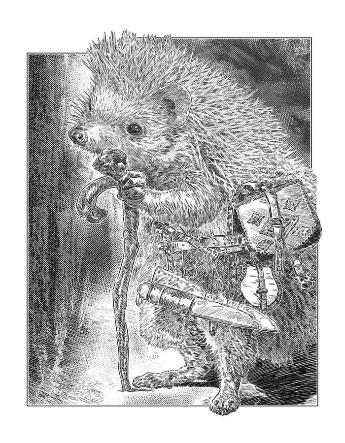 ВЕРХОВНЫЙ ЖРЕЦ АЙРИГАЛЯ, ИЛЛ.№08 - Вышел ёжик из тумана...