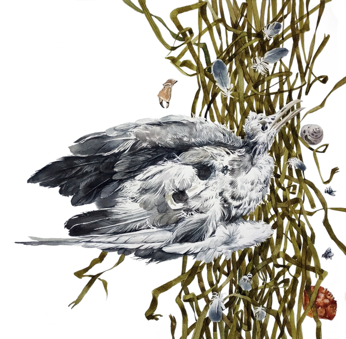 Дары моря. Графическая сага.