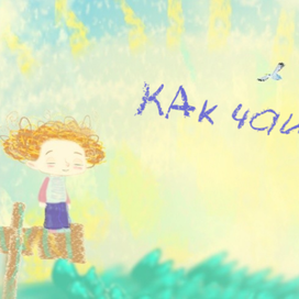 как чайка