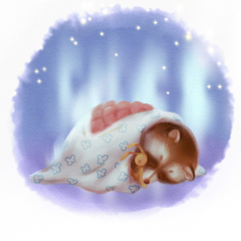 маленький енот