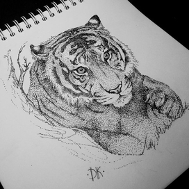 Dot tiger