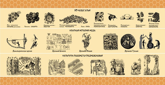 Баннер"10 чудес улья. Краткая история мёда"