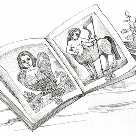 книга с экзотическими зверями и птицами