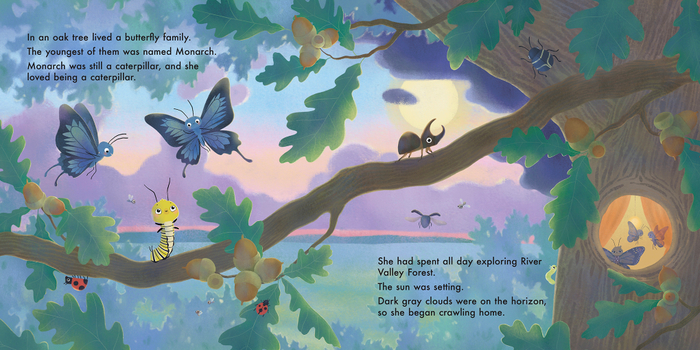 Иллюстрация для книги "You Were Made to Fly"