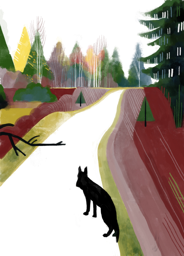 На прогулке