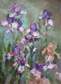 цветение ирисов