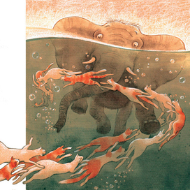 СОН (и слон)