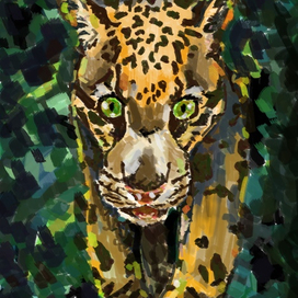 Дикая кошка