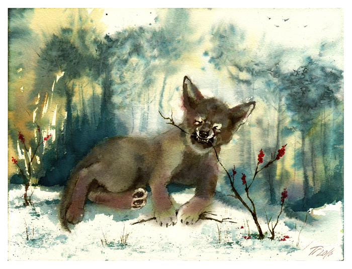 Волчья ягодка