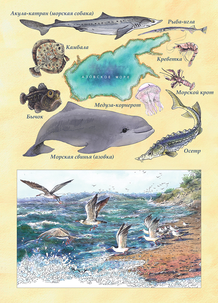 "Азовское море"