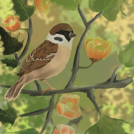 Иллюстрация для конкурса от МИФ