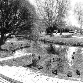 Осенний пруд