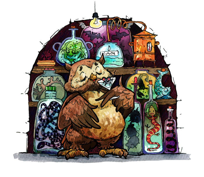 соВинный погребок