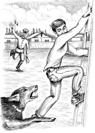 Кавалерийские усы (По зубам ли гранит науки)