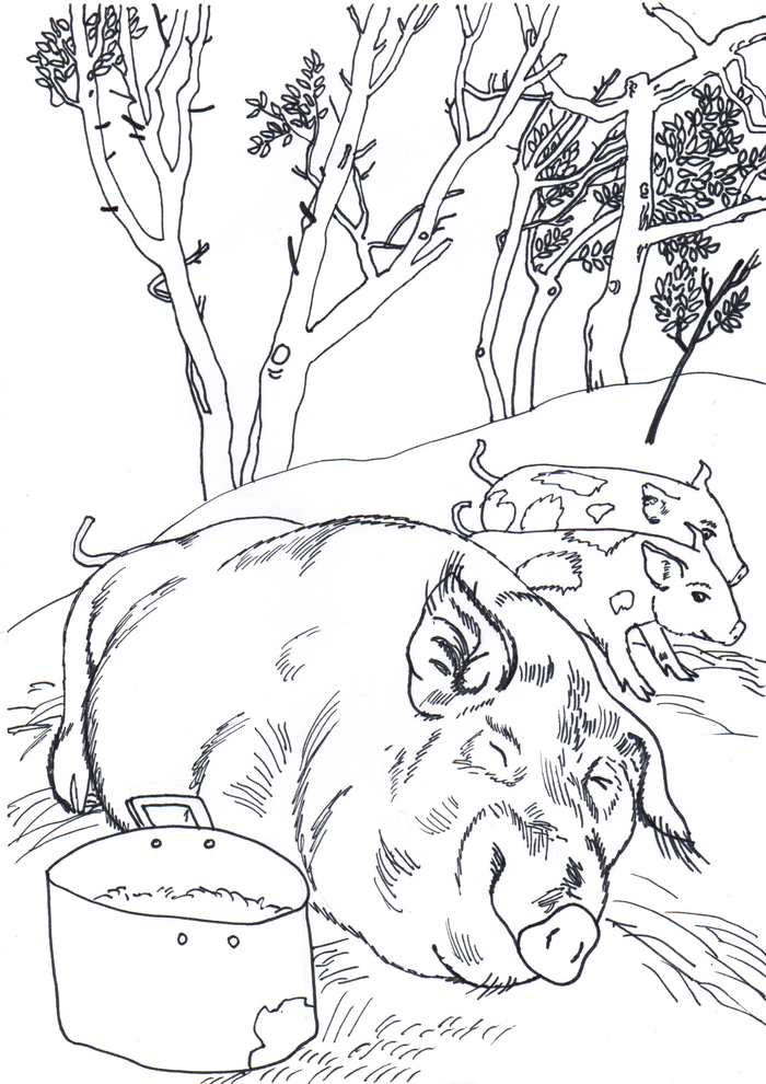 Иллюстрация книги_Е. Либерт_Плодич - мой родной язык