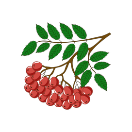 Рябина для детской игры