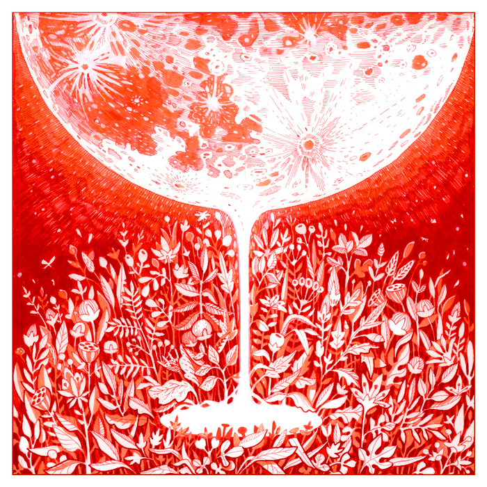 Полнолуние