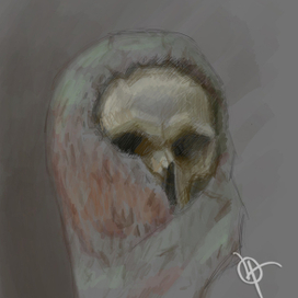 Ополченец в койфе