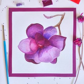 тюльпановое дерево, магнолия, лориодендрон тюльпановый