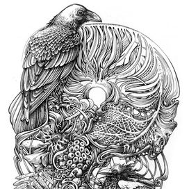 Ворон и вороненок