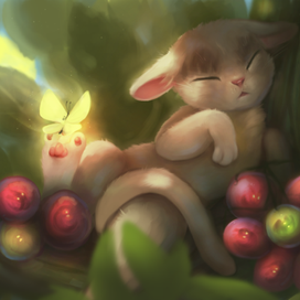 То ли кот, то ли заяц