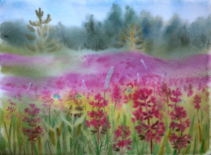 Поле розовых цветов