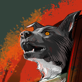 Радость, осень