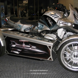 роспись квадрроцикла