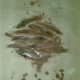 Угроза стае