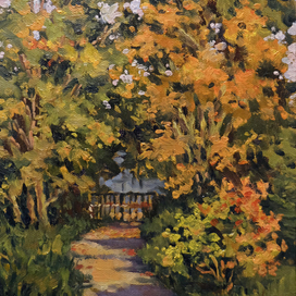 Деревья на закате