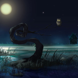 ночь на болоте