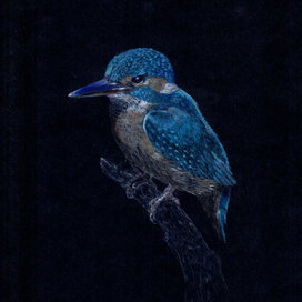 Серия "Зимородки"- 002