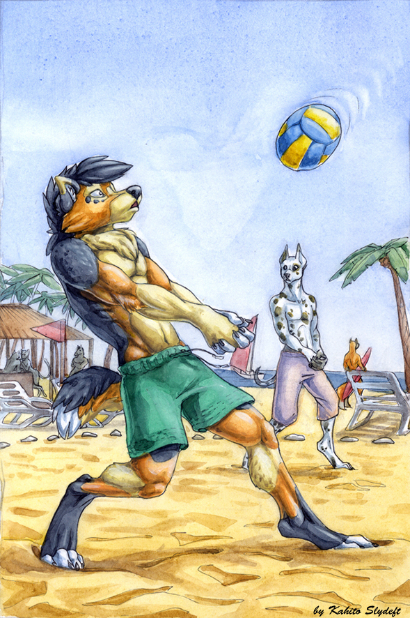 Пляжный фолейболл