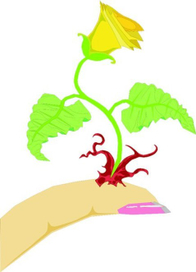 Жертва красоте