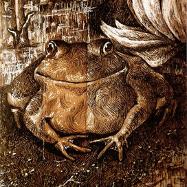 Лягушка, у которой всё норм